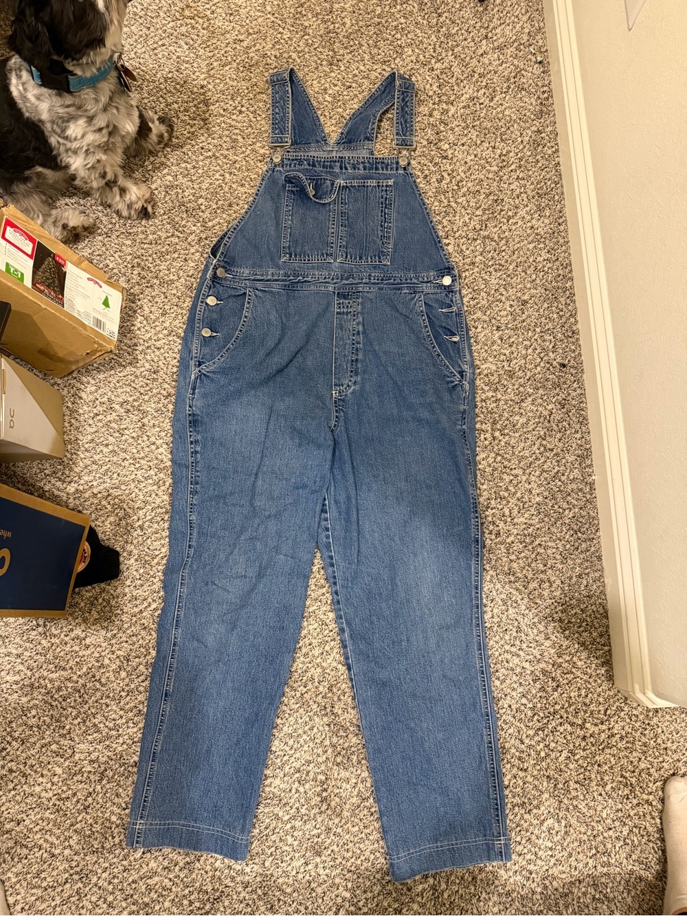 GAP Blue Denim Women's Overalls